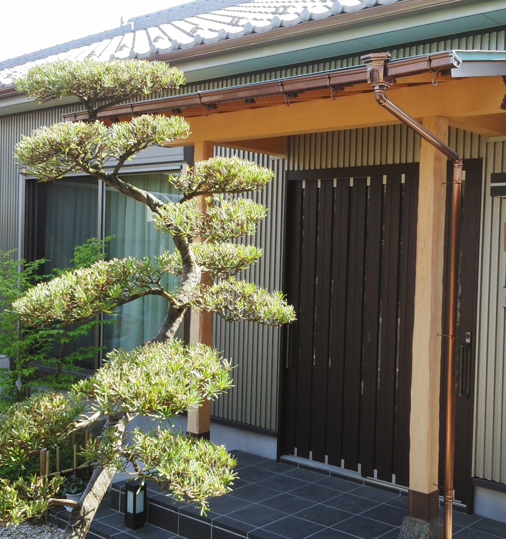 平屋の無垢の家